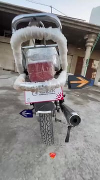 تايكر • ٢٠٢٤ • اوراق كامله