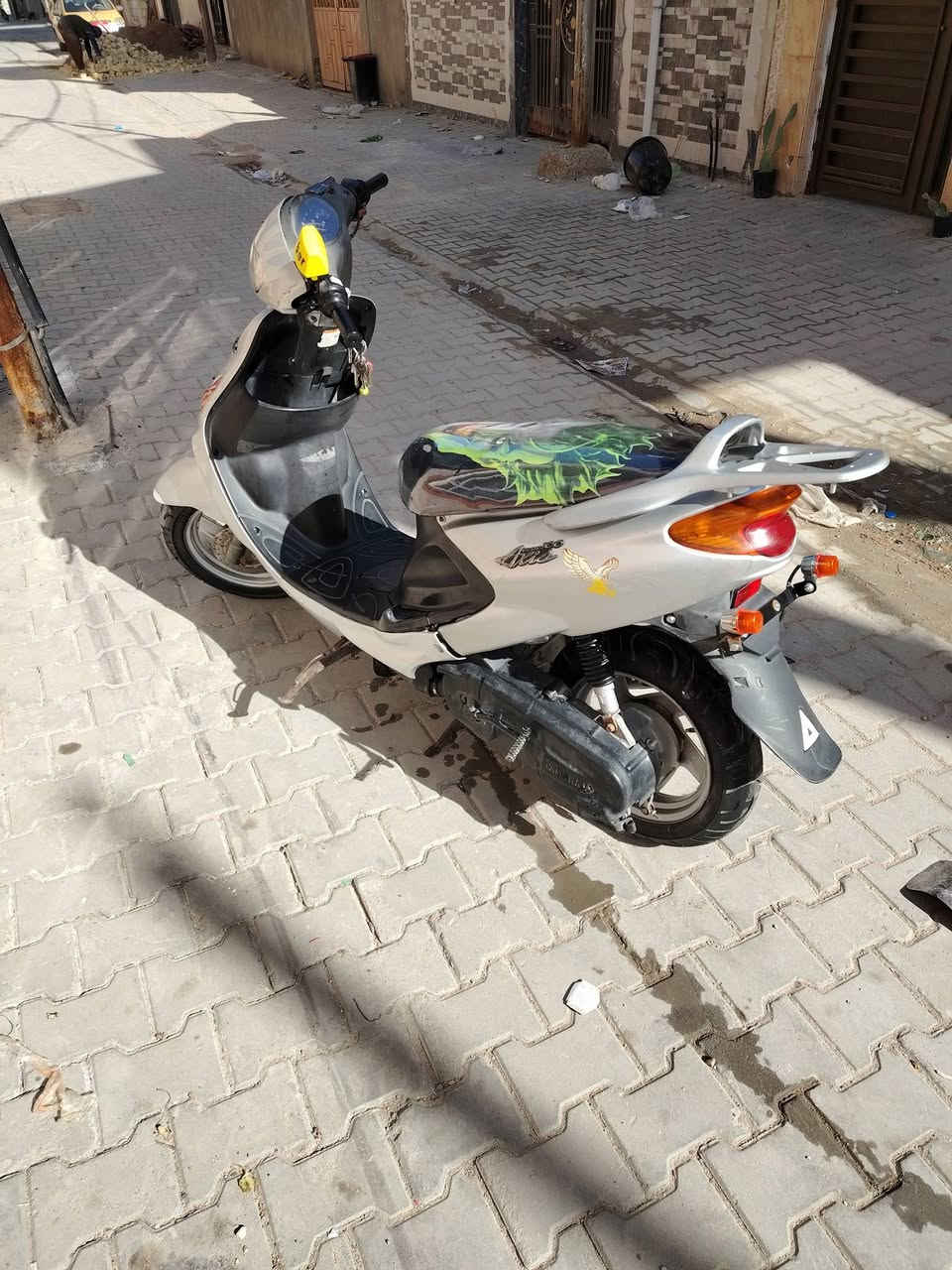 دولفين للبيع مفتوحه الستفسار عل رقم ***********
