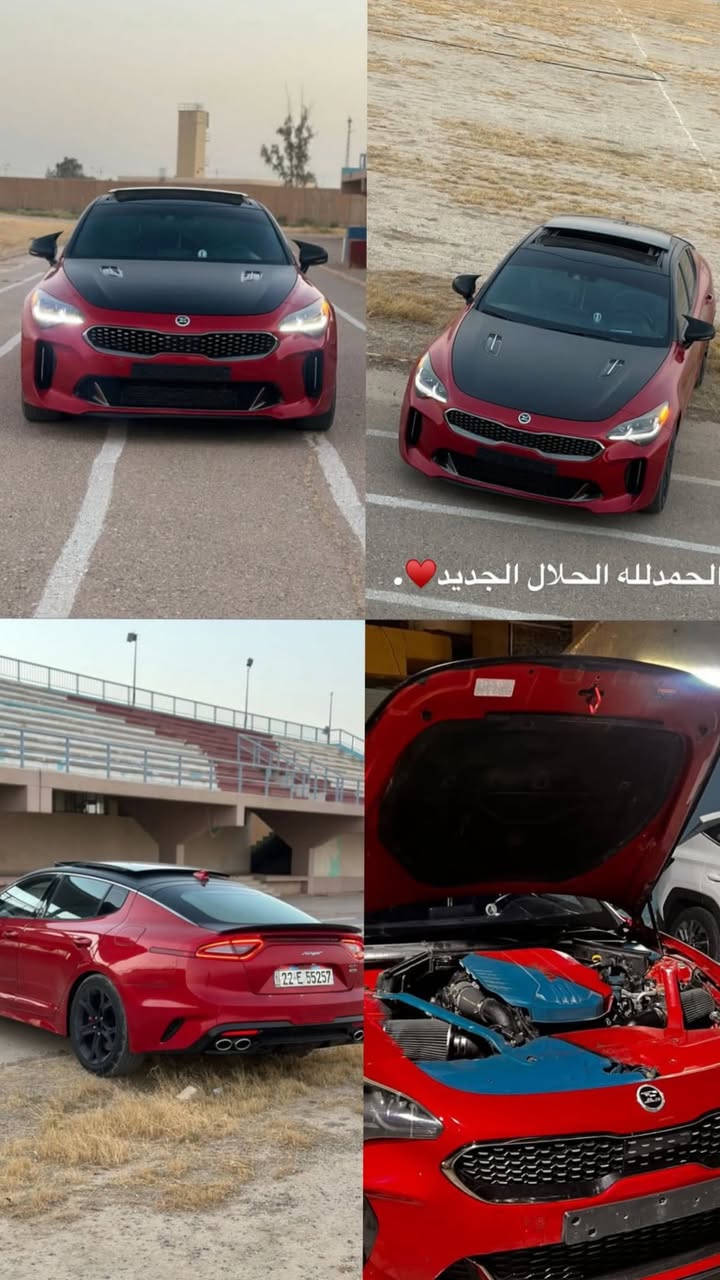 السلام عليكم  بيع سريع او مراوس حسب القناعه
كيا ستنكر GT2  2018 اعلى فئه 

محرك ٦ سلندر توين تيربو   

حجم 3.3 توين تيربو 

القوة :- 370 حصان 

العزم :- 520 نيوتن متر 

تسارع 0 الى 100 :- 3.9 ثانية

رقم اربيل  باسمي

ماشية 120 الف 

مواصفات :-2 GT معروفه فول 1/1

-بصمة + دخول ذكي 

‎بانوراما- 

-صندوق كهرباء بصمة و يفتح عن طريق الاشارة 

‎نقطة عمياء- 

-مري شفط 

-رادارات امامية + جانبية + خلفية

‎كشنات حضن-+ منفصل 

‎مرايات تعتيم ذاتي- 

-لايتات الأمامية 4عدسات LED اتو متحرك مع ستيرن 

-بگ لايتات LED

-لايتات الداخلية LED

‎شفتات ستيرن- 

‎داتاشو- 

‎جنطة كهرباء شفط-

-انارة الترحيب اثناء فتح الابواب

-مري قلاب

‎هاند بريك بصمة-

‎حساسات امامية خلفي مع توقف ذكي-

‎قيادة ذاتية- 

‎تنبيه خروج مسار- 

‎نظام بريك 6 بستم Brembo‏‎-

‎‏‎‏‎شاحن هاتف (امامي وايرلس/خلفي-

‎نظام كار بلي وايلريس-

‎‏‎تغيير صوت الاكزوزت من شاشة الاعدادات-

‎‏‎‏‎  ( عالي ، وسط ، منخفض ) 

‎‏‎‏‎خزن كشنات ميموري Set 1/set2-

‎‏‎‏- كشن (جلد+اماميات كهربائي+تدفئه)

‎‏‎‏‎ستيرن  D (تحكم كامل+كير+مثبت سرعة)-

‎‏‎‏‎مري (ترحيب+تحكم+كاميرا +اشارات+شفط)-

 ‎‏‎‏‎تبريد قطعتين الخلفي منفصل + امامي منفصل‏‎‏‎- 

-اوتو ستوب Auto Stop

‎‏‎‏‎خمسة انظمة قيادة- 

‎‏‎‏(Smart+Eco+Comfort+Sport+Custom)

ضرر بيبان ثنين وجاملغ خلفي 

السعر 178 وبيها مجال 

للاستفسار ***********
