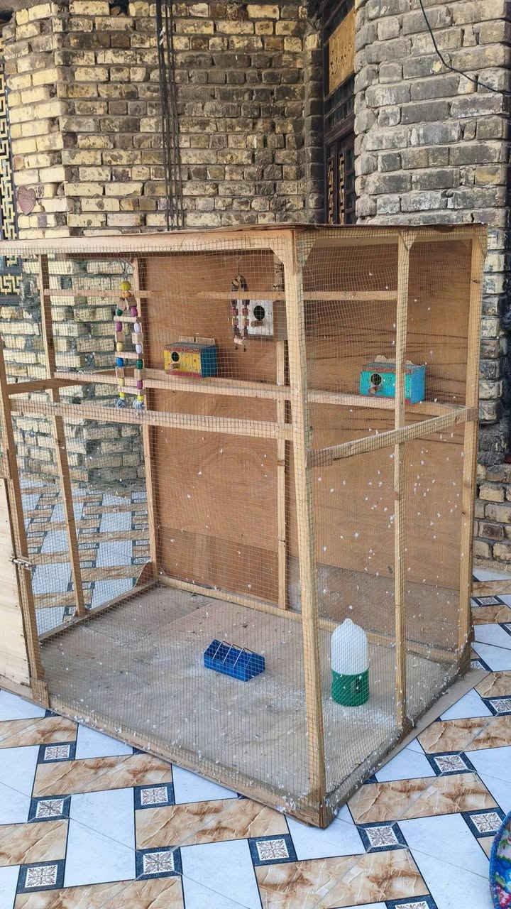 سلام عليكم  قفص للبيع هوه وغرضه وكله بس تخلي بي طيورك وهاهيه سعره 50 وبي مجال ول ميشتر لا يتعبني ‏‪0780 814 5920‬‏
