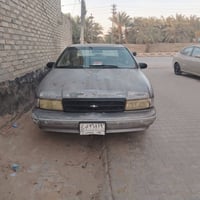 دولفين امباله • ٩٦ • نجف