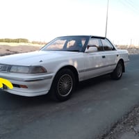 مارك كصيف • مكفوله • كفاله سنويه