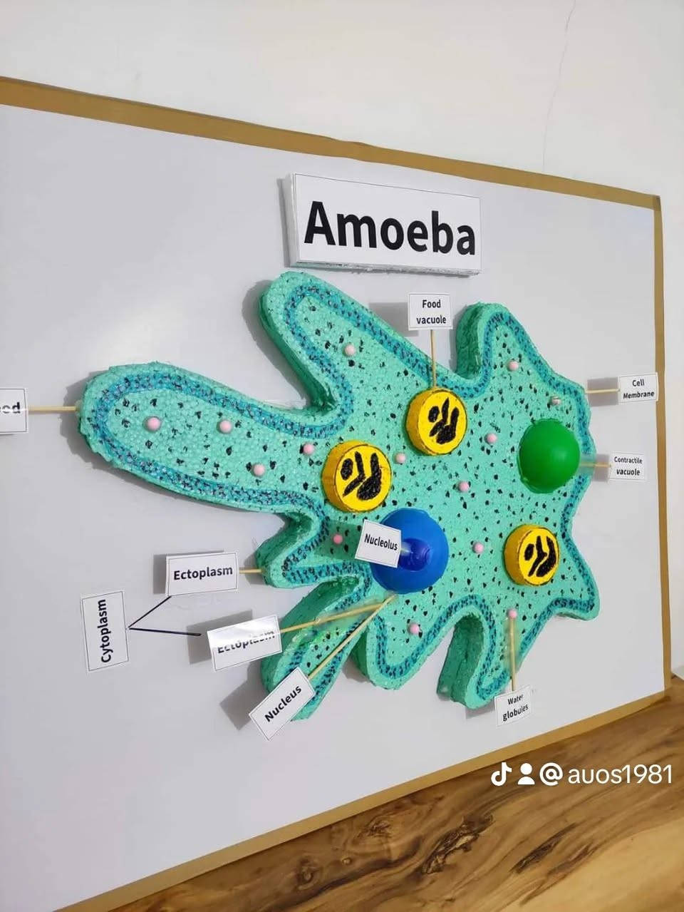 عملنا حسب الطلب يرجى الحجز مسبقا وللتواصل على الواتس آب 
*********** حلة, بابل
