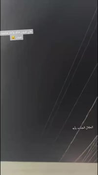 مرخصتك مدير لكروب ماكس منغولي للبيع سعر خاص ومكفوله من خلشي  رقم الهات...