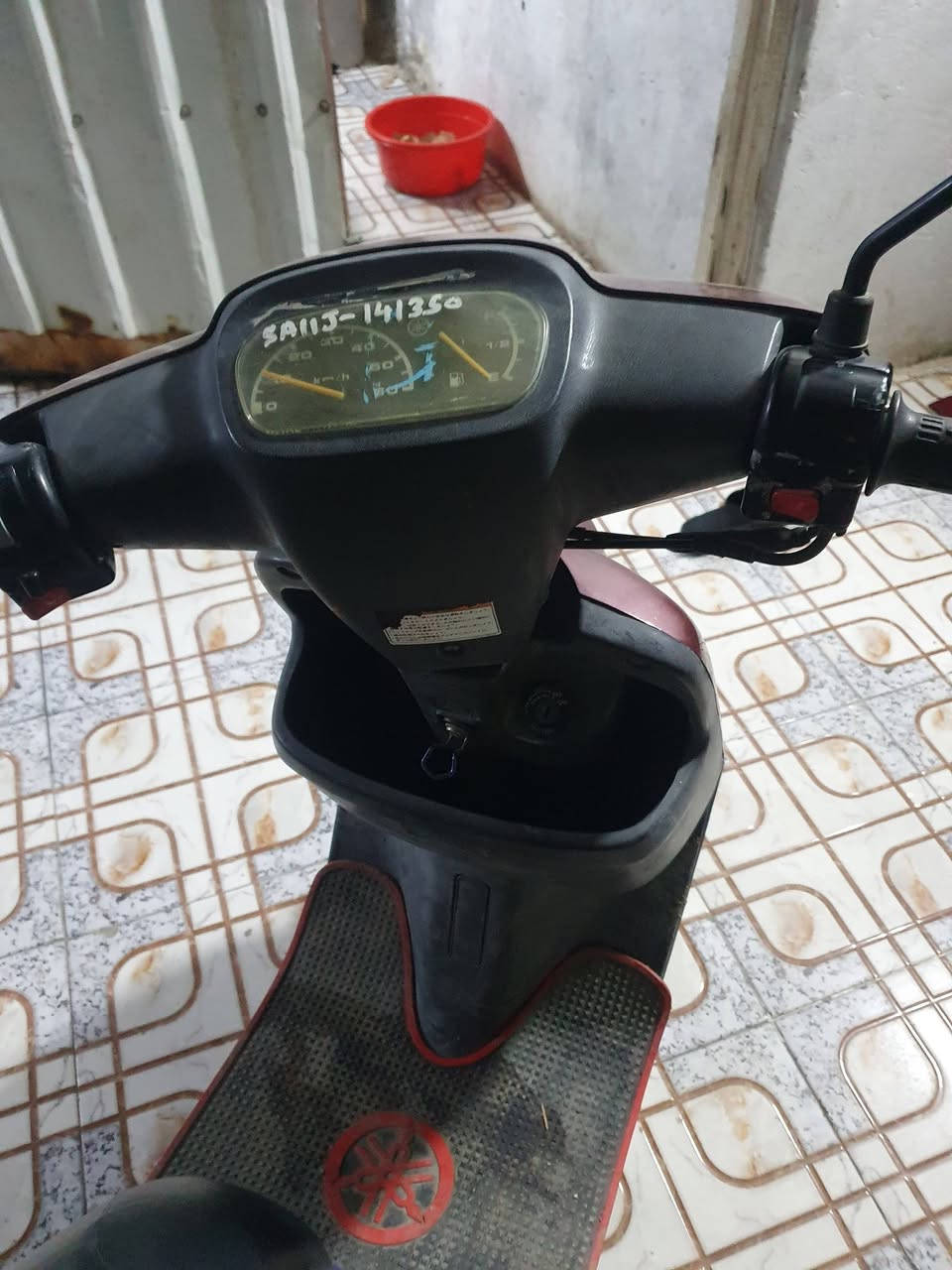 دراجه حاويه جديده فحل لسعر 550 ***********
