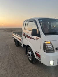فحل حمل بنكو • موديل ٢٠٢٤ • ذي قار