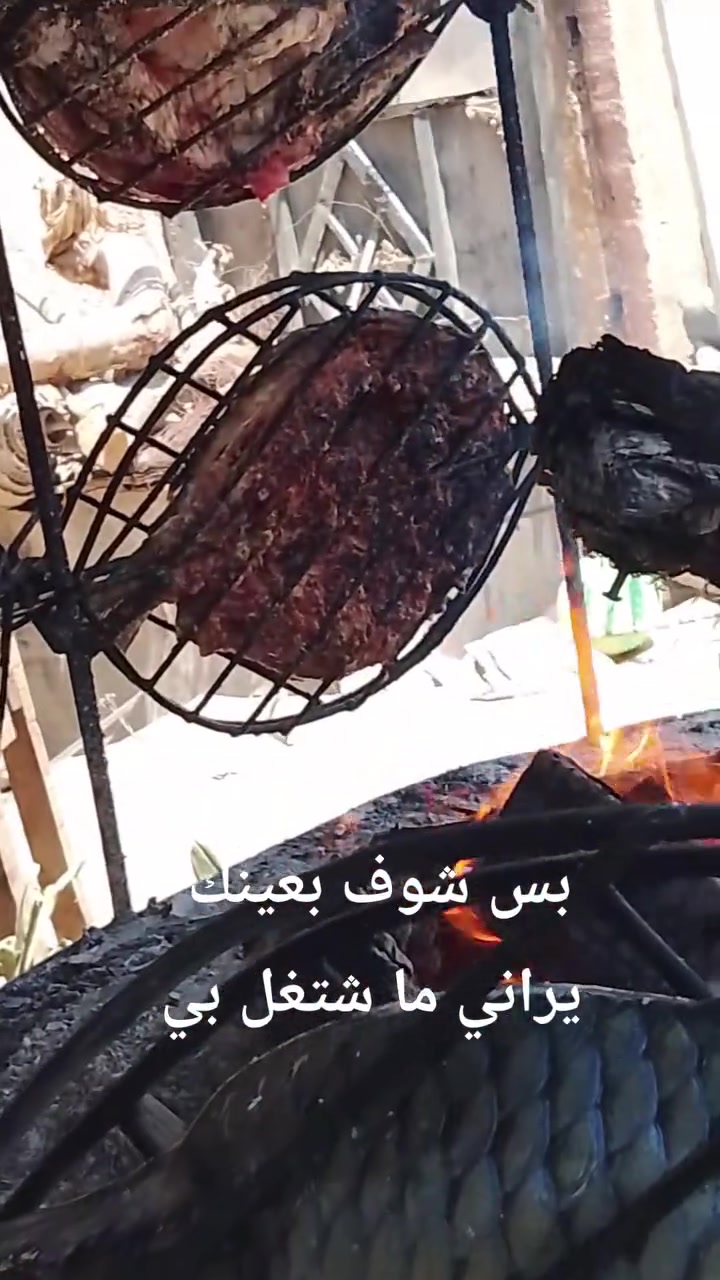 سلام عليكم حبايب ليوم سمج هوه وشويه 6كل هله بيكم باجر رابعا اني بل خدمه تجي نذبحه كدامك ونوزنه كدامك عمي جماعت ثوابات تعالو يمي بيكم خير ودللو العنوان شارع فيالق طب بي جنك رايح على زراعي مال نفط ***********احفظ رقمي يمك شوكت نا تحب احجز

