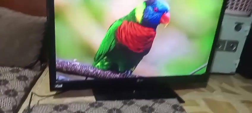للبيع
شاشه LG 42 سمارت بدون نت
للاستفسار واتساب ***********
