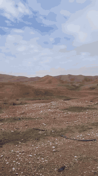 باسفيكا كلين من حادث
موديل 2021 
ماشي 90-100
رفم بغداد بسمي مكاني بغداد المنصور 
داخل جلد بردات باب كهربائي اهواي مواصفات معروفة
حادثها مياه امطار فقط 
***********
