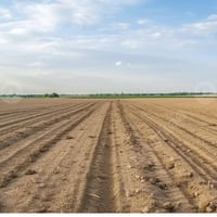 ٨٠ دونم • عقد ٣٥ • ماء وكهرباء