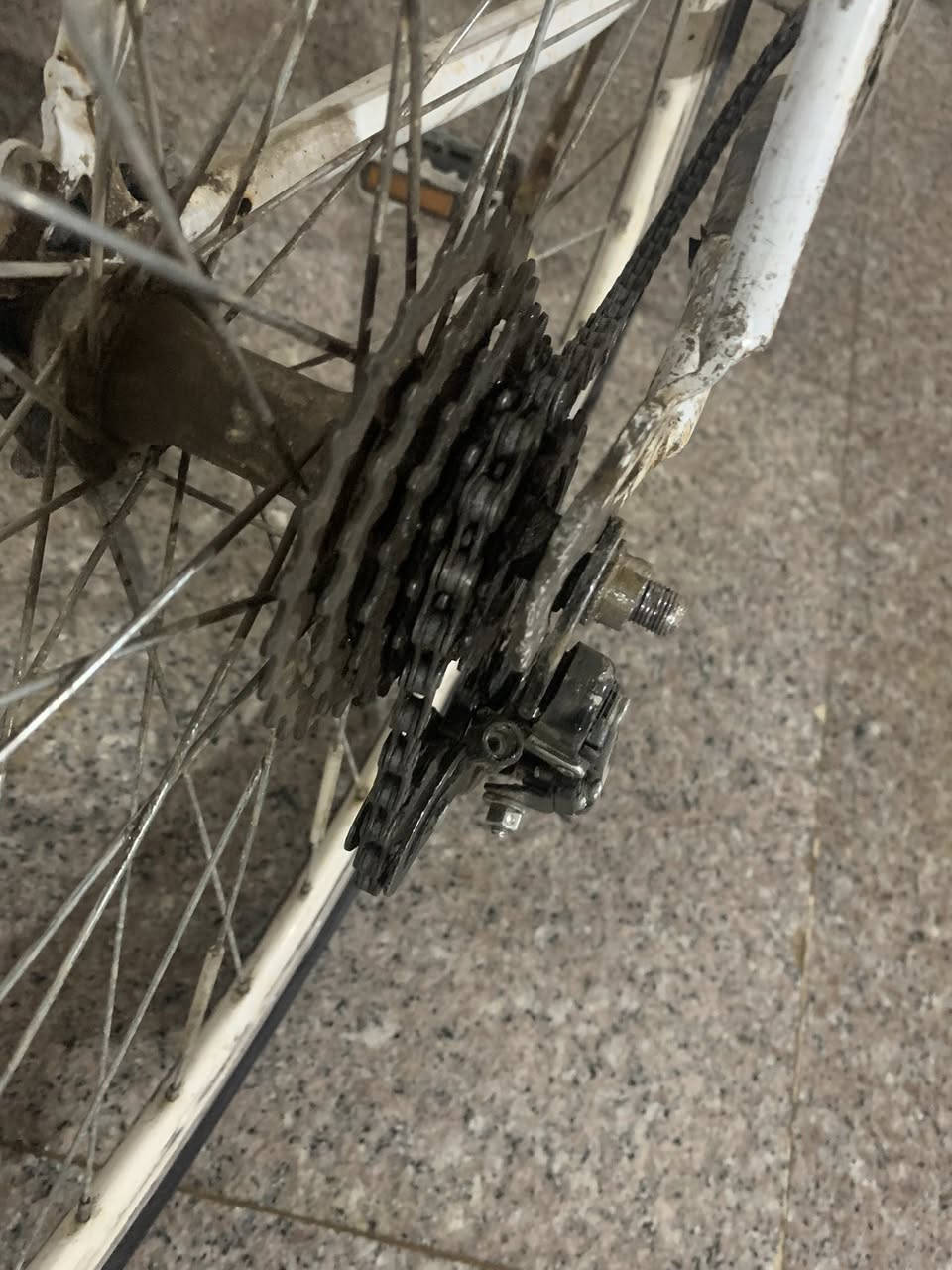 سلام عليكم بايسكل للبيع نوع Fixed Gear البايسكل كلشي بي تمام بس البريك خفيف و البايسكل سرعه و ليسه جبلي السعر 80 و قابل للتغير مستعجل على البيع


**إذا كنت صاحب هذا الإعلان وتريد حذفه لأي سبب، رجاءا أرسل رسالة إلى الدعم الفني**