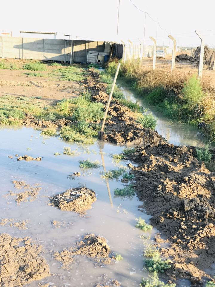 سلام عليكم دونم للبيع 2500 متر طابو زراعي سند 25 بأسمي وتتوفر جميع الخدمات مي كهرباء شارع 8 متر 
العنوان النيل قرب جامع موسى الكاظم 

الاستفسار اتصل ***********
