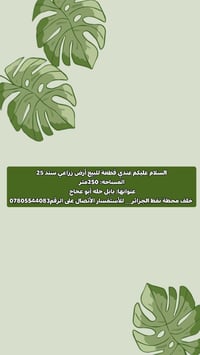 حله أبو عجاج • ٢٥٠م • للبيع