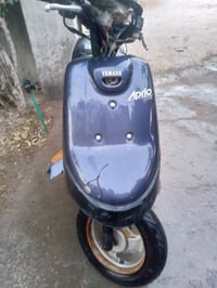 بطة • شاصي مكفول