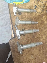 تخم كامل • غير مركب • بغداد حي ور