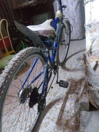 باسكل ٢٦ • أزرق • ابريكات شغاله