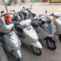 ماكس منغولي • ماكس عدله • بوشه ٥٠