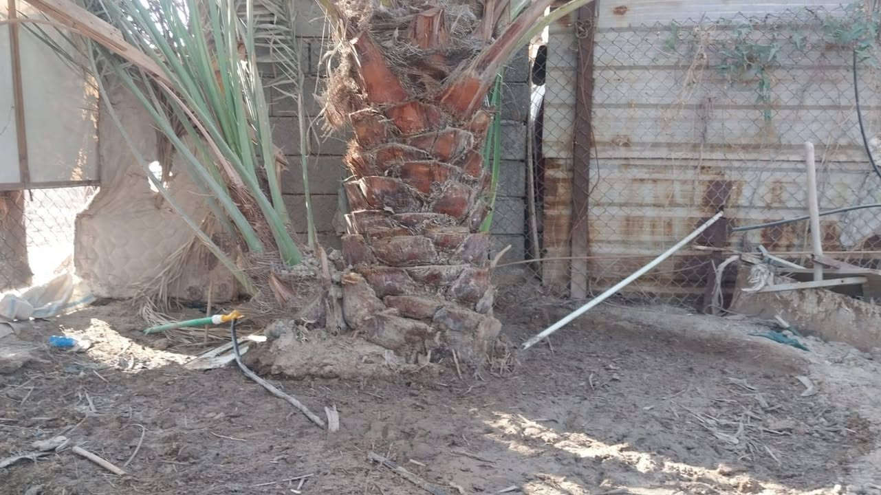 افراخ برحي حر البيع حمالات العنوان بصره شط العرب الفيحاء ***********
