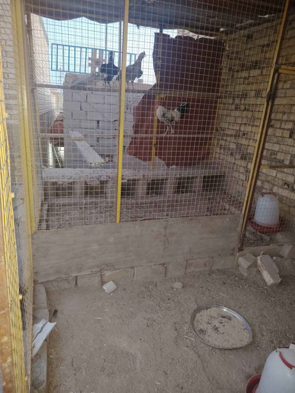 محميه
الطول 4متر و الارتفاع 2متر و النزال مترين ونص
وجهيه +صفحتين
السعر 125 وبيهه مجال بسيط 
***********
