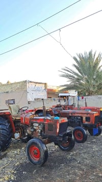 واسط قضاء الحي • شراي