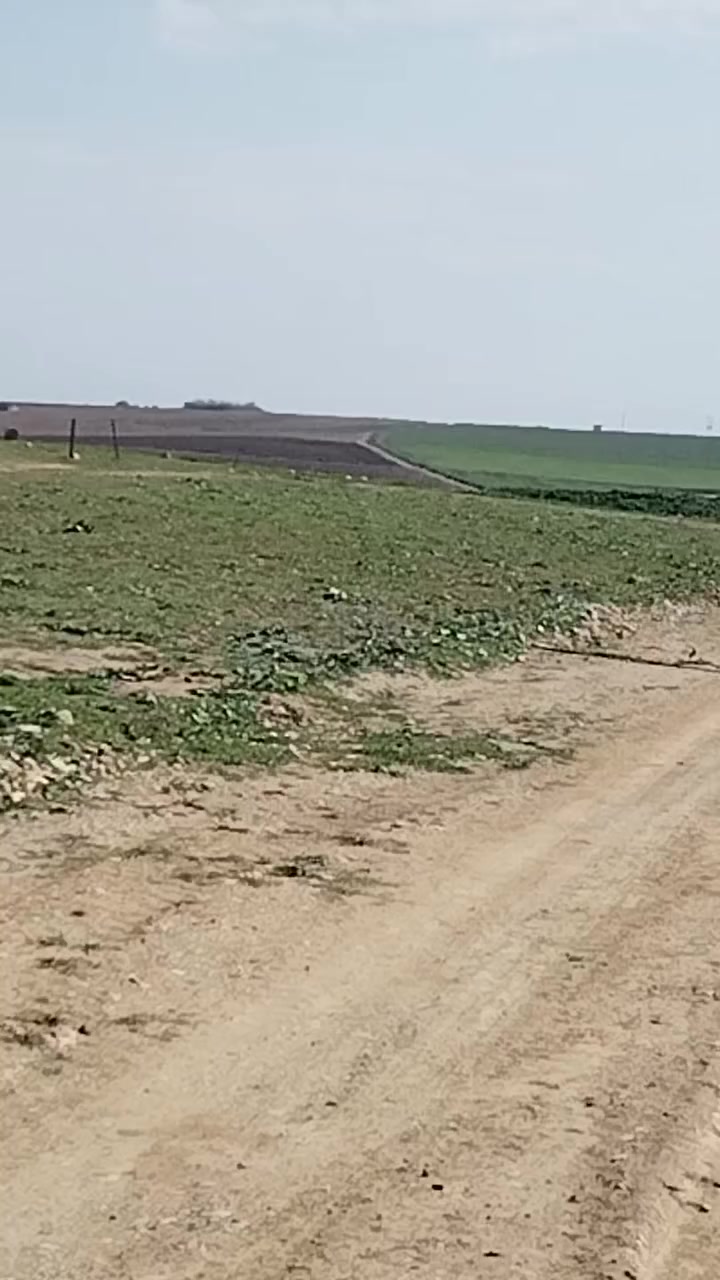 🌟 أرض مقبرة للبيع، طريق المنشأة، 100 متر من الشارع العام.
- المساحة: 100 متر
- السعر: 1.5 مليون
للتواصل: *********** (واتساب أو مكالمة)
