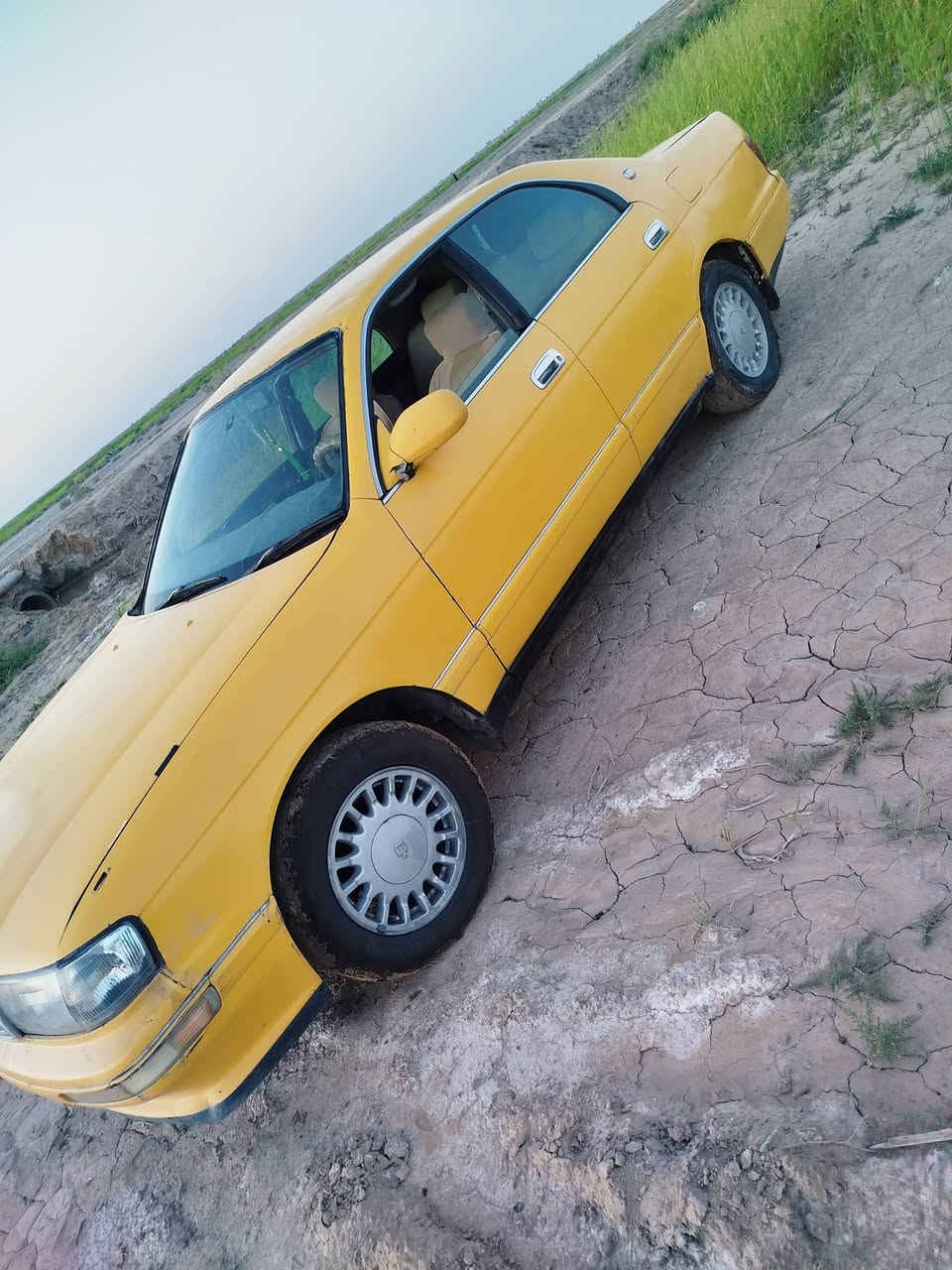 للبيع بطه منفصل موديل 2000رقم بصره
مكفوله من الگص ونقل چثه  سياره حلوه مالت جناي 

مكفوله گير ومحرك مگينه ثنين ونص ديلگو 

دواخله نضيفه كرهبأيات شغاله   المكان ناصريه


**إذا كنت صاحب هذا الإعلان وتريد حذفه لأي سبب، رجاءا أرسل رسالة إلى الدعم الفني**