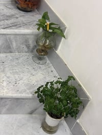 غراض بيت • اسعار مناسبة • ناصريه مركز