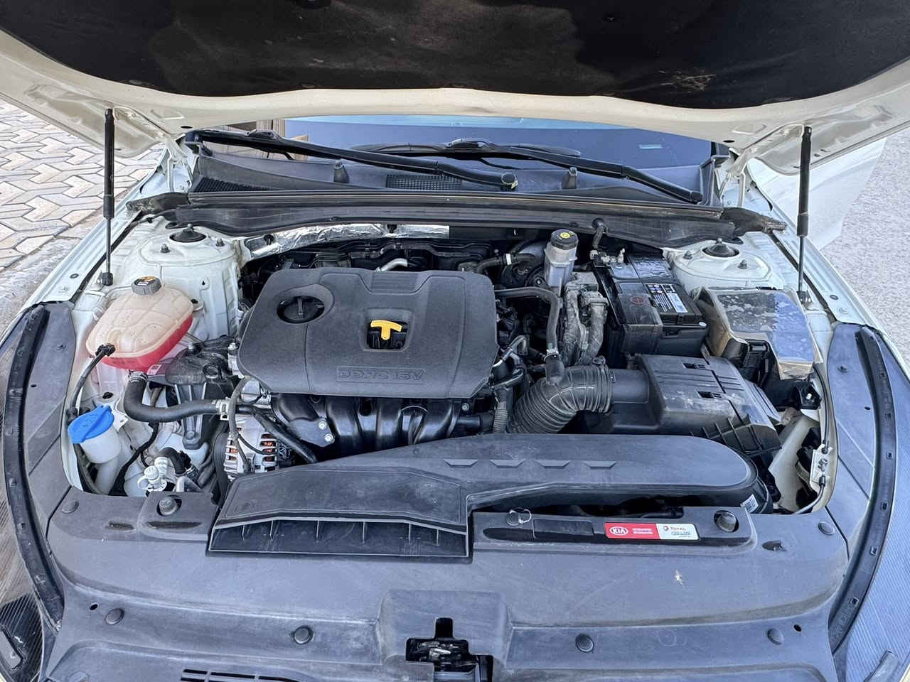 كيا K5 خليجي فول مواصفات ١/١
محرك الفين دوش موديل ٢٠٢١  فول ١/١ رقم اربيل بيها بارد بسيط بالبنيد جاهزه من كلشي السعر ١٨٧ للاستفسار *********** مكان السياره الرمادي
