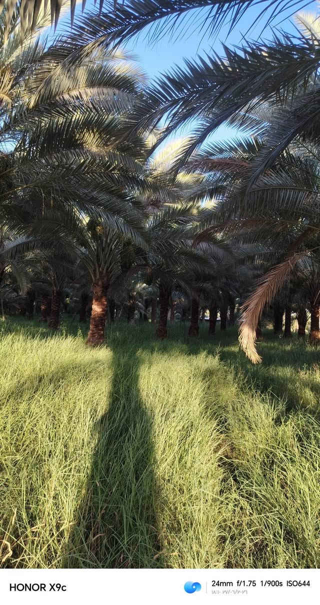 سلام عليكم خمس دوانم البيع في قلب رحمانيه الواجهيه 50 متر الستفسار عله رقم ***********
