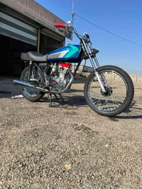 رابيدو قبق • احمر • كلك كلك