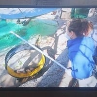 شاشه Star sat باله جديد شغاله بغداد مدينة الصدر  هاتف ٠٧٧٠٩٧١٣٣٠٨ متوف...