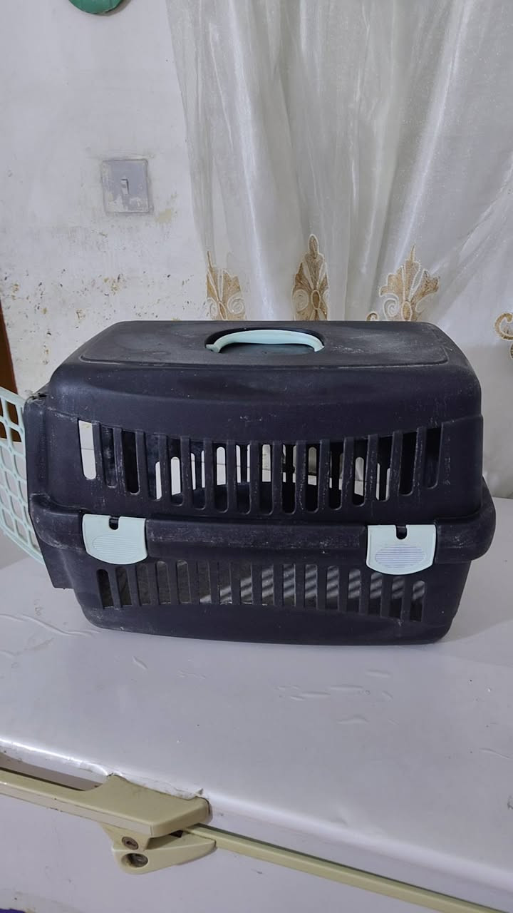 بايسكل للبيع بناتي حجم كبير نظيف للبيع سعره 30 وبوكس للقطط حجم كبير سعره 10 مكانه الحسينيه شارع ابو سمير واتساب ***********
