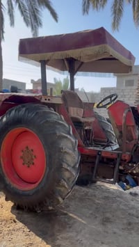 عنتر 80 • مو محسن • ديالى شهربان