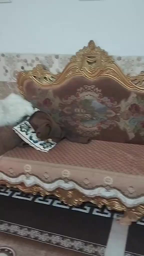 تفاصيل وسعر خاص


**إذا كنت صاحب هذا الإعلان وتريد حذفه لأي سبب، رجاءا أرسل رسالة إلى الدعم الفني**