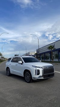 باليسايد • ٢٠٢٤ • دفع رباعي