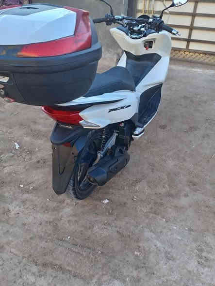 السلام عليكم اخوان دراجه بي سي اكس جيل الثاني نظاف فول مكينه 150 ياباني دراجه شخط ما بيه 
عنوان بغداد حي انصر
هاذه رقمي ***********
