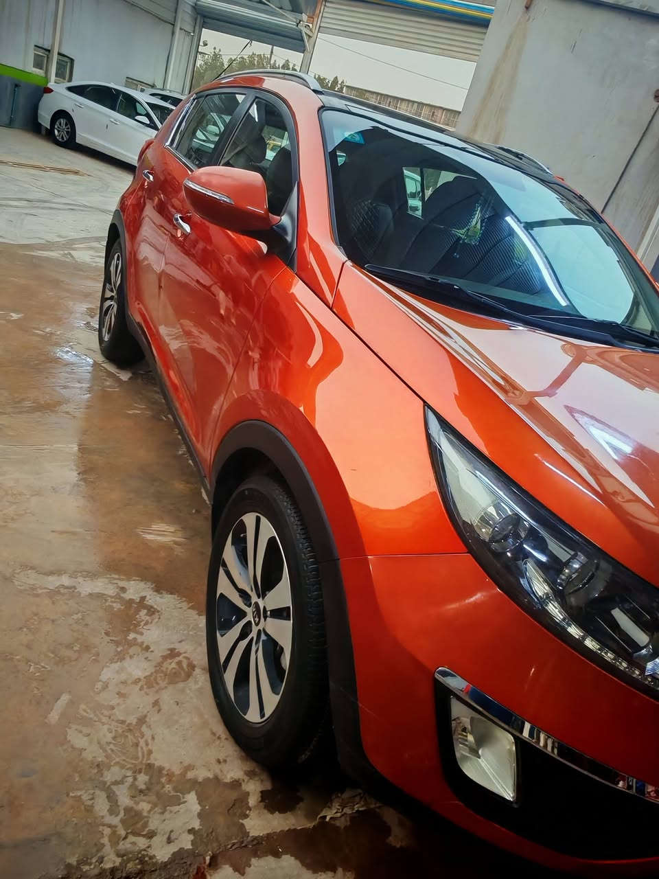 السلام عليكم
سبورتج 14 خليجي
كفاله عامه من الصبغ والتبديل والفتح
عدا ملاحضات بصيطه موضحه بالسونار
لون مشمشي مميز
محرك 2000 دوش
محرك وكير بلاديات
السياره ماشيه فقط 102 الف
مواصفاته حلوه
بنوراما
اشاير بالمري
تحكمات ستيرن وحاكيه بلوتوث
5 ويل كروم
ليد
شاشه كبيره
كامره
حساسات خلفيه
السياره ترايه كلش حلو وناعمه
رقم بغداد الدولي
سنويه لل 2030
سعر السياره 155 وبيه مجال بصيط للشراي
مكان السياره بابل مركز الحله
للاستفسار الاتصال على الرقم
***********
