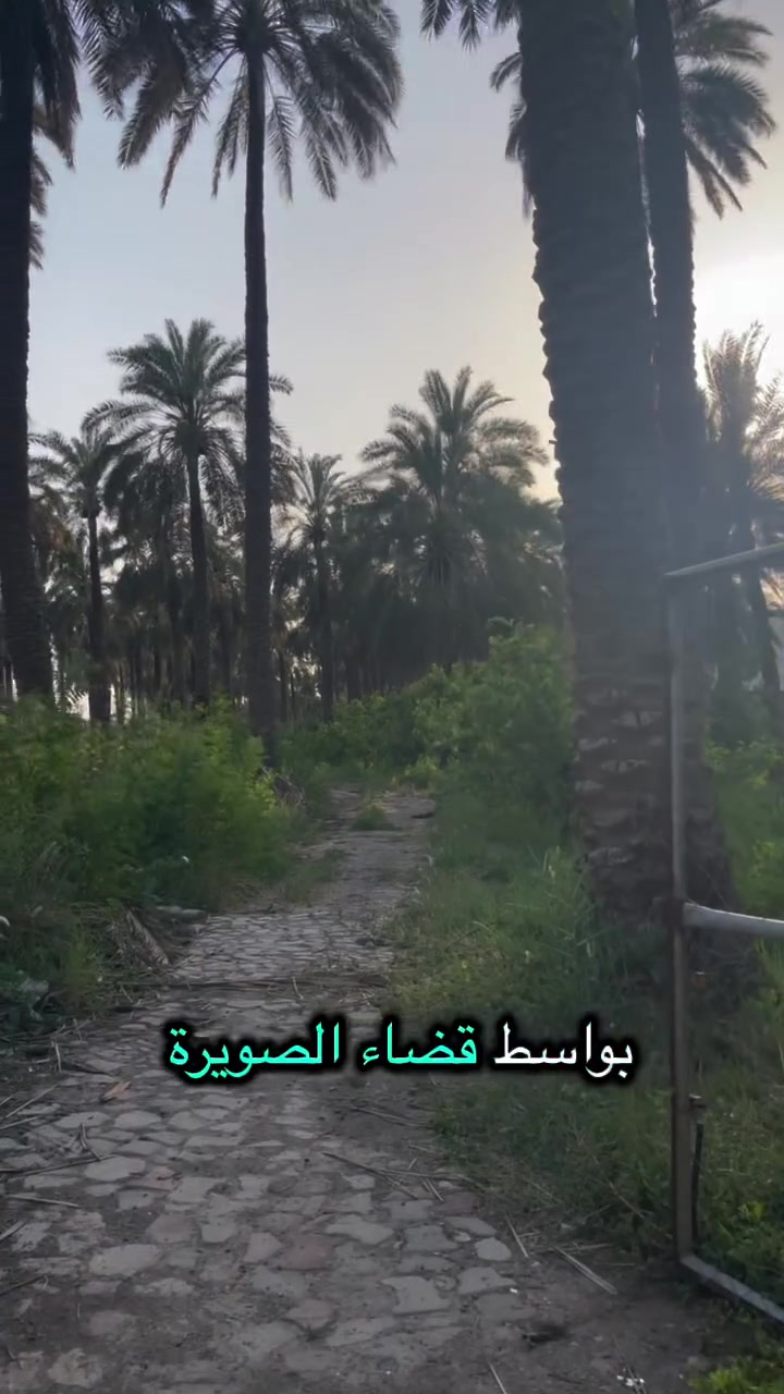 دونمين للبيع
طابو زراعي-ملك صرف سند٢٥ 
موقع الأرض:قضاء الصويرة سدة بيت حسوني
 حدود البستان و ابعاده:
وجه البستان الامامي20.5م وطوله 250م ووجهه الخلفي 27م تقريباحدوده مثبته في دائرة التسجيل و يحيطه سياج محكم مشيد من البي آر سي و له بابين امامي و خلفي
.وصف البستان:
 يقع البستان في منطقة هادئة جدا و تجاوره بساتين مزروعة ومسيجة للبستان مدخلين,الأول على شارع بعرض 5م والثاني خلفي على شارع بعرض 15م. مصدر الماء من نهر دجلة مباشرة ووسيلة التجهيز مضخة غاطسة بقدرة 10حصان والبستان مجهزبالكهرباء والانارة ذاتية التشغيل ليلا 
 المشيدات عبارة عن غرفة و مطبخ اضافة الى صحيات وهي مبنية من البلوك ذات جدران لبخ وارضية صب اضافة الى سقوف من السندويج بنل العازل وذات ابواب حديدية و موقعها نهاية البستان. هناك طريق للخدمات وسيرالسيارات داخل البستان يربط بين الباب الامامي والباب الخلفي
يبعد عن السوق و مركز المدينة 4 دقائق
النخيل المثمر،/63 اكثرها برحي. والباقي بريم و  عويدي و تبرزل وخضراوي وزهدي
 الفسائل الجديدة/86  اغلبها برحي و مجهول و مكتوم و بلگة و مير حاجي 70%منها نجح
يحوي 100 من أشجار الحمضيات الكبيرة اغلبها مثمر التنوع بين النارنج والحامض العراقي
الشتلات الحديثة 100 شتلة حامض وبرتقال ولالنگي عراقي
موردها السنوية من ضمان النخيل يتراوح بين 5ملايين
للاستفسار يرجى التواصل على الرقم 
***********
