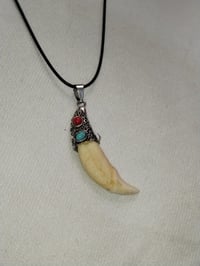 حجر سن ذيب • اكسسوار