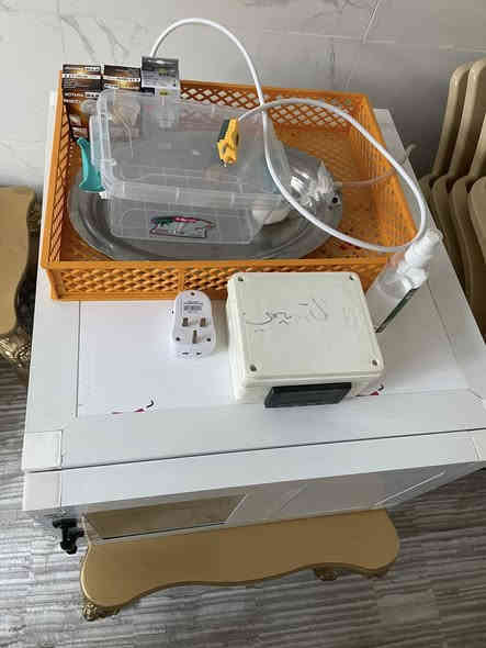 سلام عليكم فقاسه حجم ٩٩ بيضه للبيع الفقاسه جديده جدا فقست بيها مرتين فقط وتفقيسها خير من الله شغل ليث المهندس السعر ١٨٥ وبيها مجال إنشاءالله مكاني كربلاء الحسينيه***********
