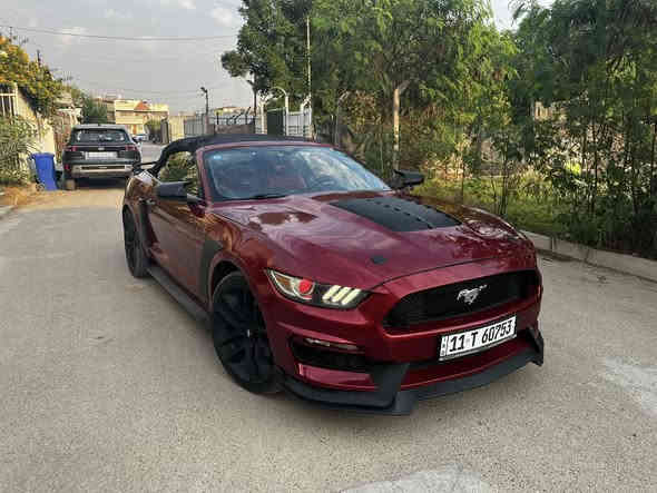 سلام عليكم من رخصه الادمن.  للمراوس و انطي فرق ماكو مشكله 
فورد موستانك 2016   (خمسينيه ) 

بريميوم 

فول 1/1 

شاشه جبيره 

تدفئه تبريد كشنات 

ابل كار بلاي 

تحكمات ستيرن 

شفتات ستيرن 

ستيرن كاربون فايبر 

محدث بجم شيلبي 

حادثها جاملغ امامي بس وهنا صار بيها 3 قطع يعني السياره بيها 4 قطع صبغ 

السياره داخل احمر 

كشف شغال 100/100 

3 انضمه قياده 

كشنات كهرباء 

السعر 133 

مكاني بغداد 

***********
