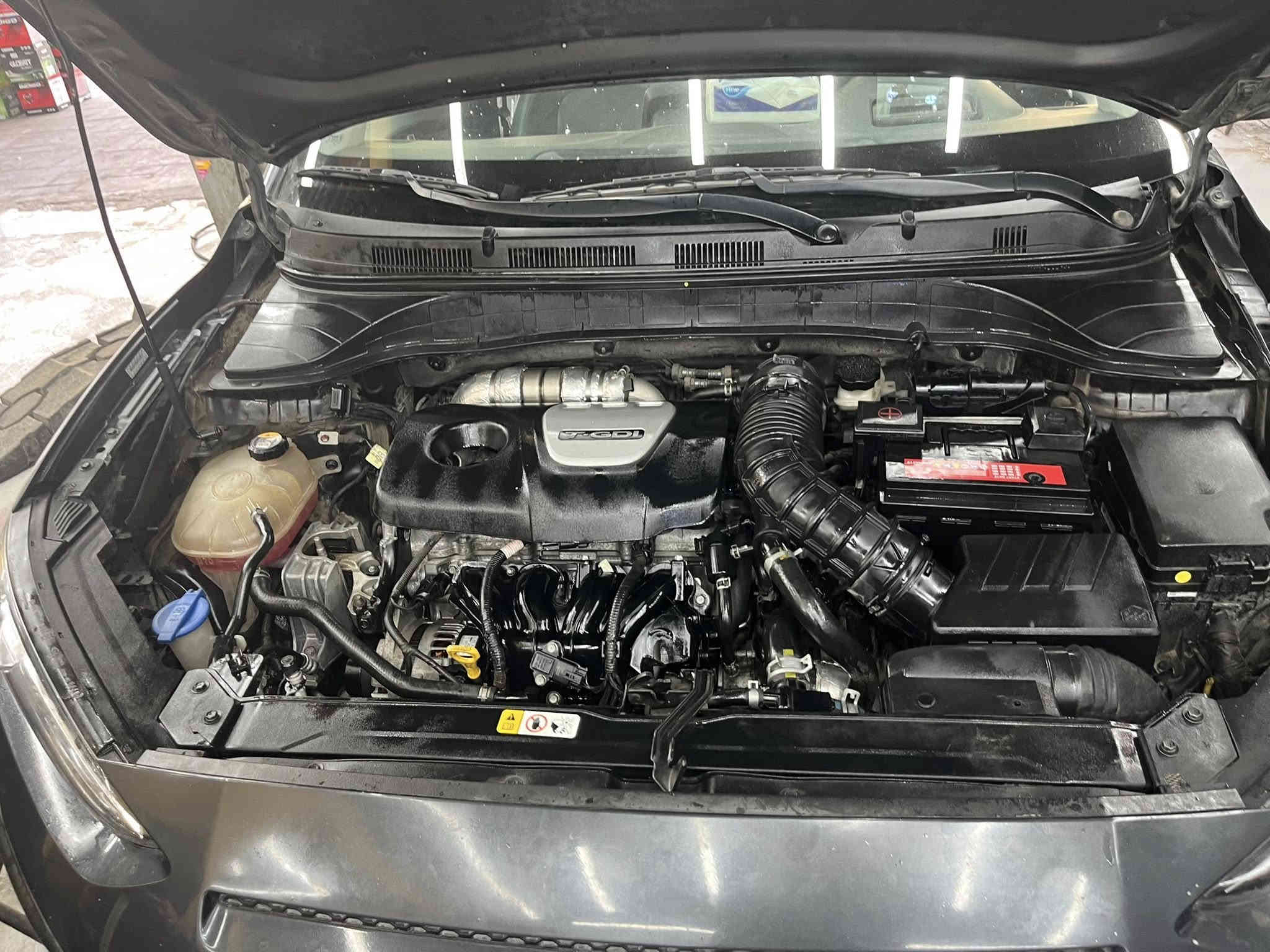 كونا 2021 Ultimate 
‏ 1.6t محرك 
فول مواصفات ماشية 46 الف مايل
قطعتين صبغ جاملغ ، بنيد
بيها رصعات بسيطة السيارة كفالة محرك وگير 
نقصها رادار امامي فقط مبيوگ منها

السيارة خير من الله  : 
كشنات جلد تدفئة وتبريد ، فتحة ، انطمه سرعه (سبورت ، نورمال) ، مانع انزلاق ، تثبيت سرعه ، رادار خلفي ، حساسات مري نقاط عمياء ، كاميرة خلفية ،

السيارة رقمها بغداد ثاني يوم تحويل 
150$ وبيها مجال 

متواجد : واتساب 
***********
***********
