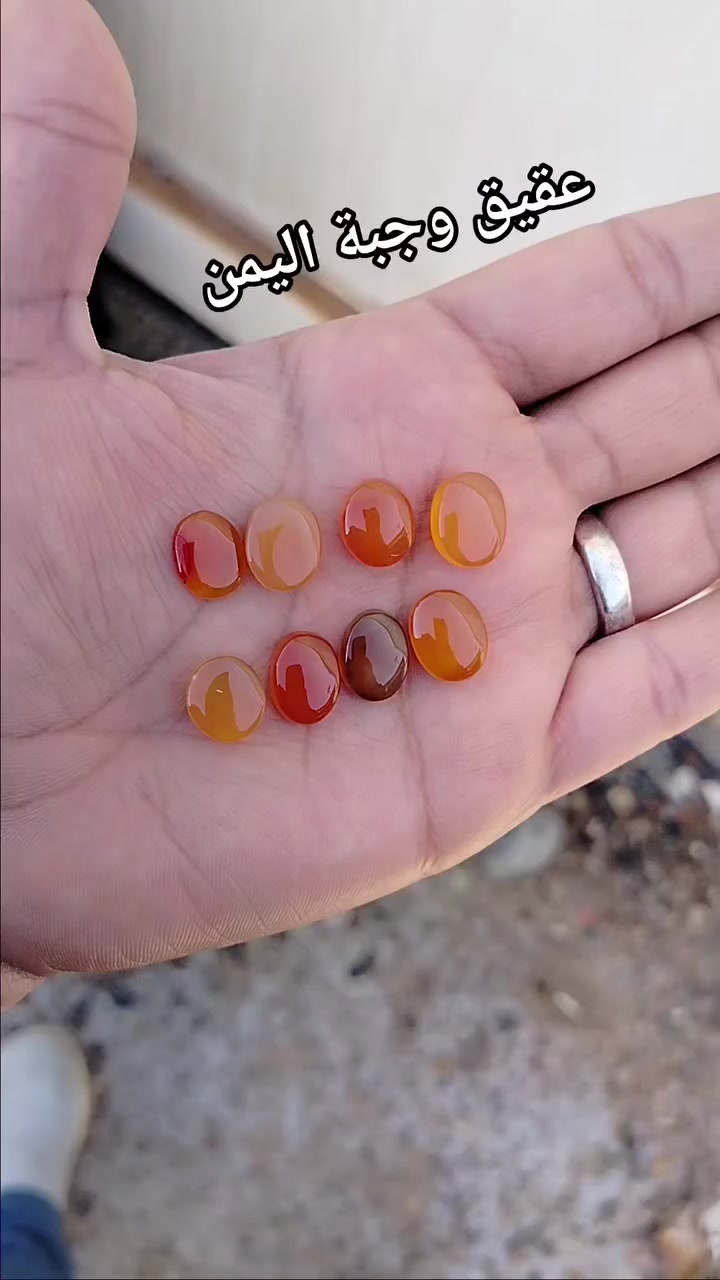 عقيق وجبة اليمن


**إذا كنت صاحب هذا الإعلان وتريد حذفه لأي سبب، رجاءا أرسل رسالة إلى الدعم الفني**