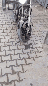 ستوته كلك مكفوله عن سرقه مشروطه نكره سلف سعره 350.تصال 07822115740