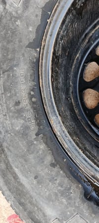 ويل • جمس سيرا • بصرة