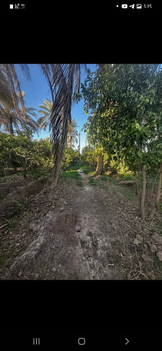 دونم 250 متر للبيع في مدخل 2 الاستفسار تصل على الرقم ***********
