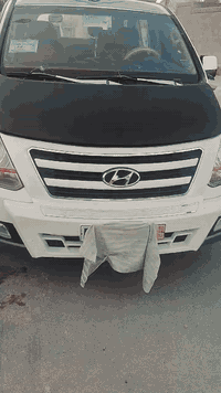 ستاركس • ٢٠٠٩ • رقم ديالى