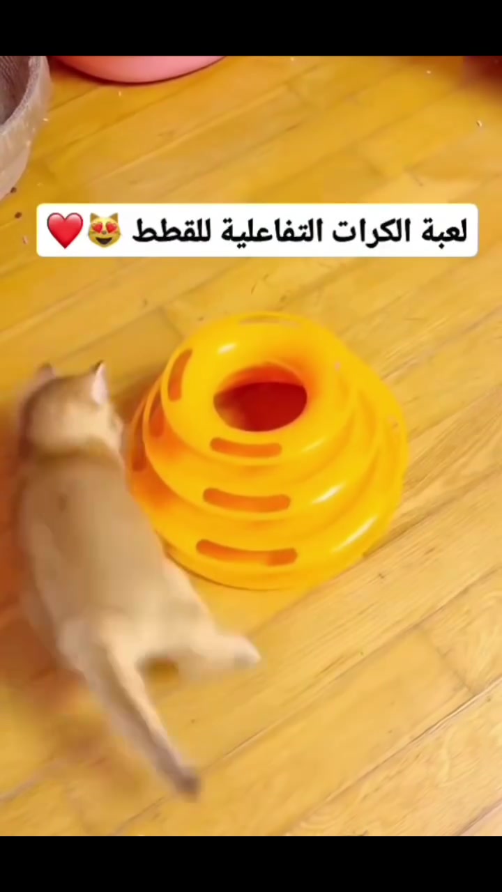 لعبة المسارات 
السعر ٦٫٠٠٠
 #قطط #cat #مستلزمات #حيوانات


**إذا كنت صاحب هذا الإعلان وتريد حذفه لأي سبب، رجاءا أرسل رسالة إلى الدعم الفني**