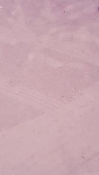 تفاصيل بالخاص 07837864319