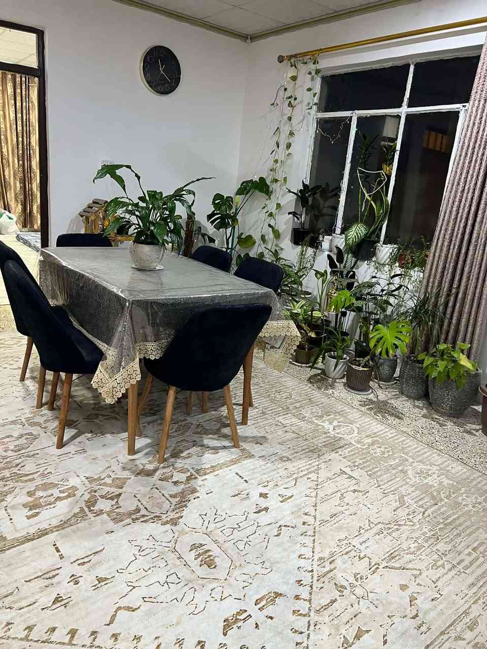 للبيع سعر 150


**إذا كنت صاحب هذا الإعلان وتريد حذفه لأي سبب، رجاءا أرسل رسالة إلى الدعم الفني**